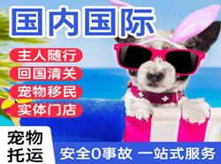 花果山机场快递国际宠物托运 【国